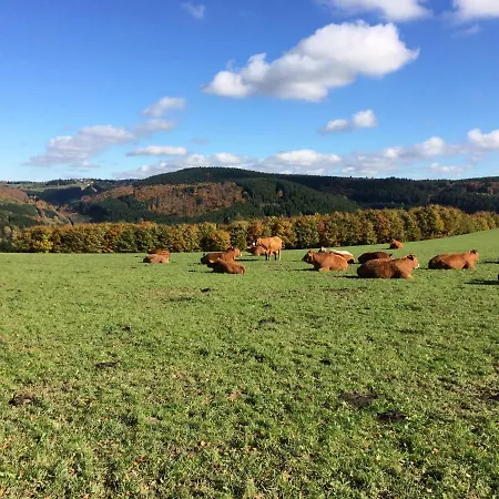 Апартаменты Edel *