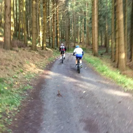 Edel Апартаменты Шмалленберг