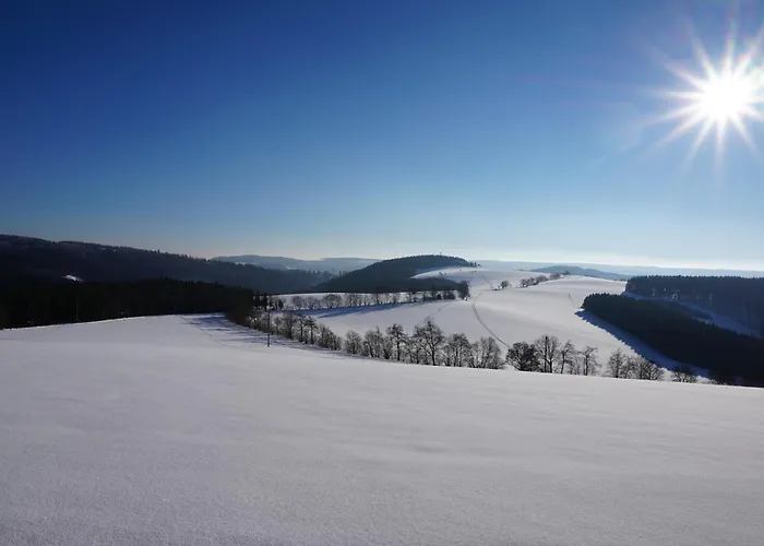 Edel שמאלנברג