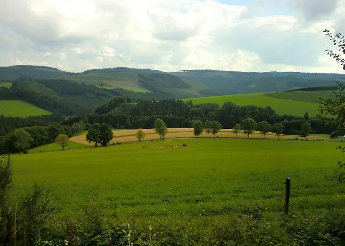 Edel 公寓 施马伦贝格