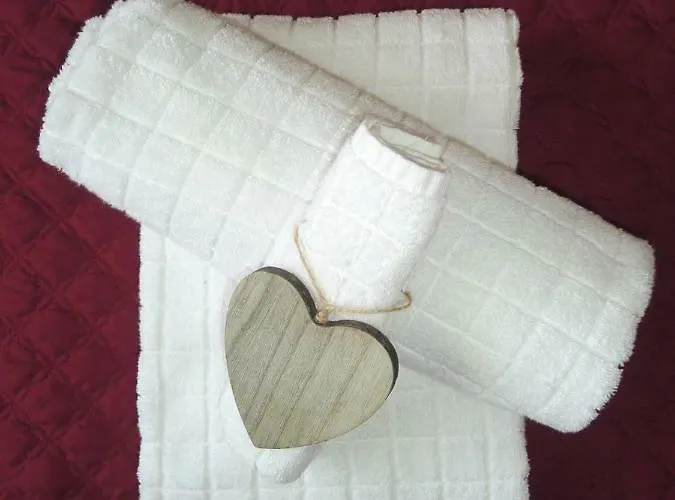 Edel שמאלנברג